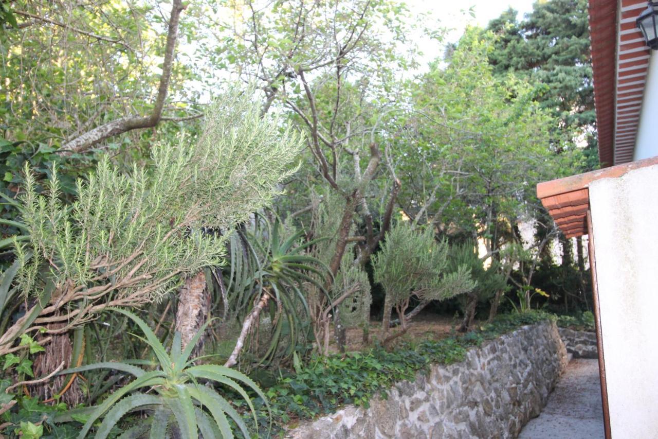 Sobral  Casas Altas Obidos - Alヴィラ エクステリア 写真